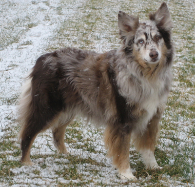 Ruby at 9 years